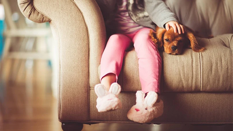 l'immagine di un cane sdraiato su un letto con una ragazza