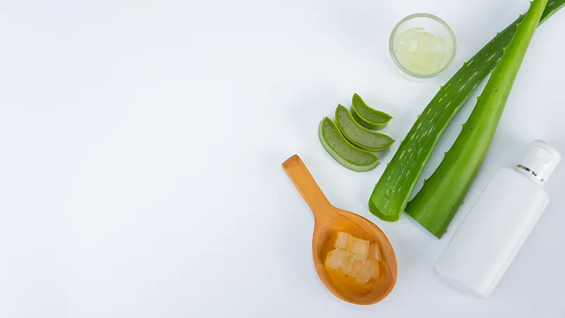 Materiale per infusione di aloe vera