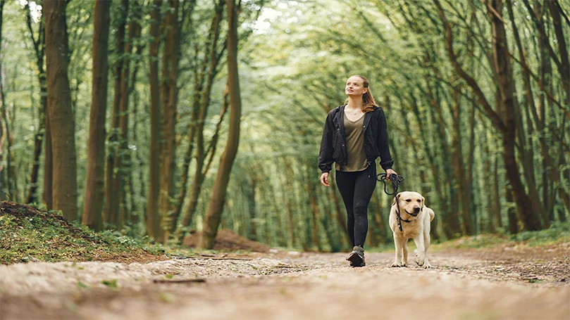 l'immagine di una donna che si sveglia con il suo cane nel bosco