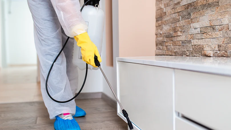 l'immagine di un disinfestatore professionista che disinfetta l'interno di una casa