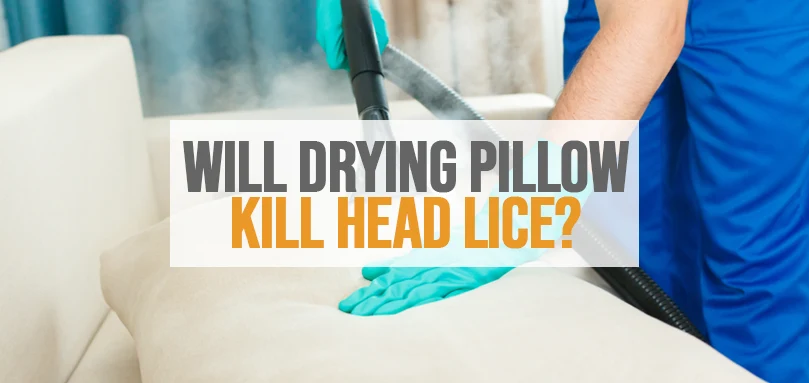 Immagine in evidenza di asciugare il cuscino per uccidere i pidocchi.