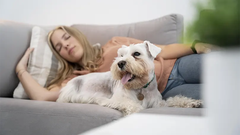 Immagine di una donna che dorme con un cane su un divano.