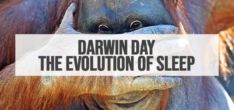 Immagine in evidenza per il Darwin Day - L'evoluzione del sonno