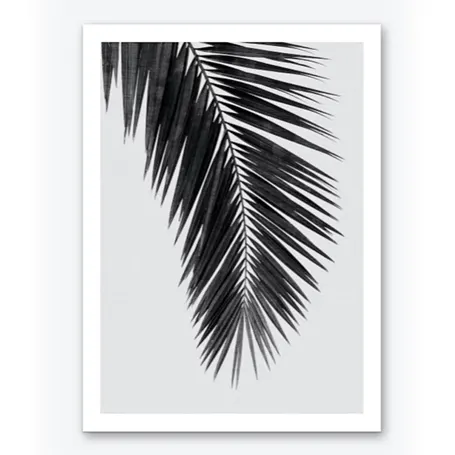 Stampa d'arte in bianco e nero di Palm Leaf