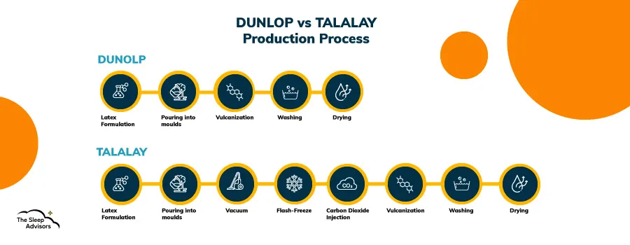 Un'infografica che illustra le differenze tra la produzione di lattice Dunlop e Talalay