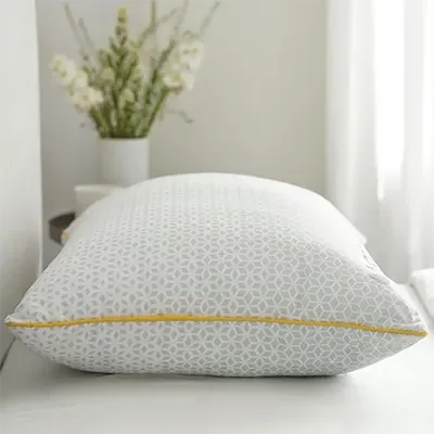 Immagine del prodotto di Brightr Stella Hybrid Pillow.